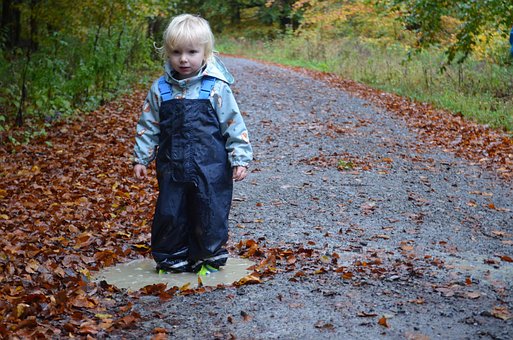 Free Fall To Stroll photo and picture