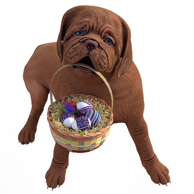 Free Dog Easter Easter Puppy illustration and picture