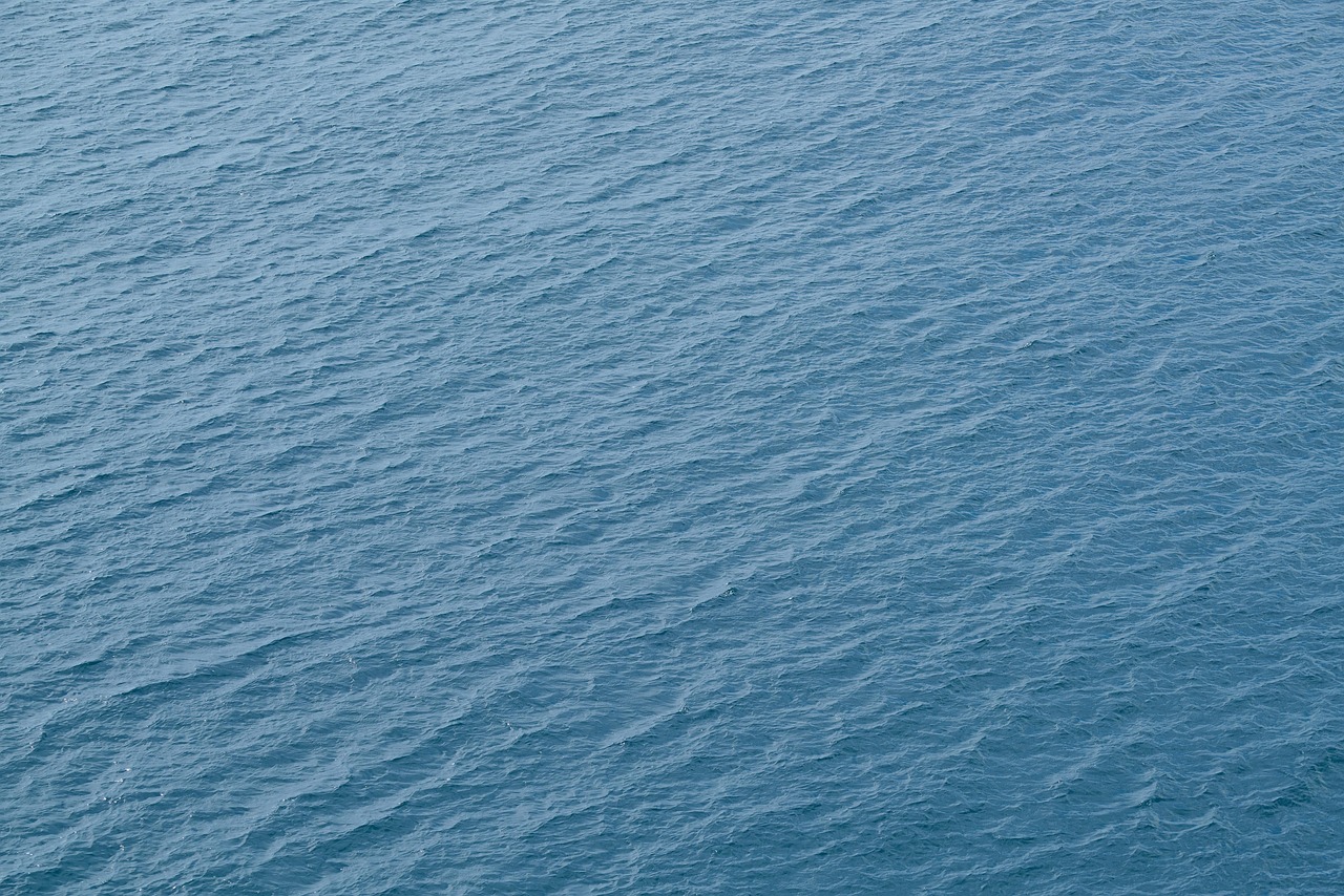 Waves - free online jigsaw puzzle photo