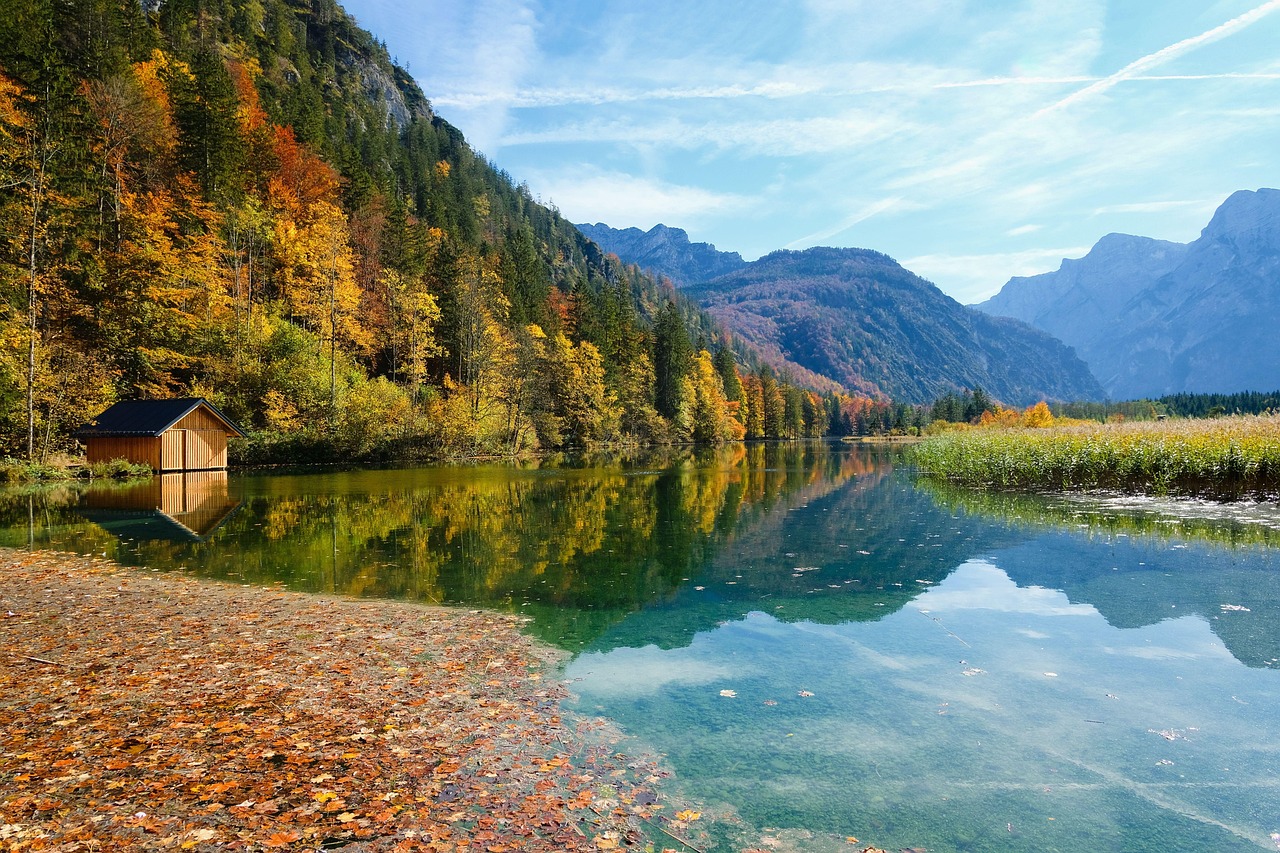 Nature - free online jigsaw puzzle photo