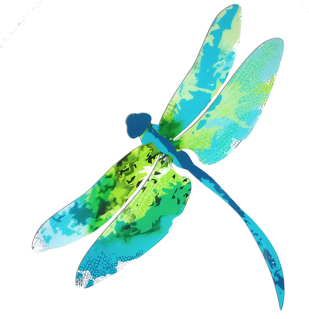Free Dragonfly Ornamental illustration and picture