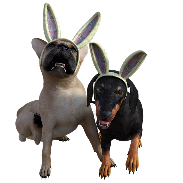 Free Doggy Bunny illustration and picture