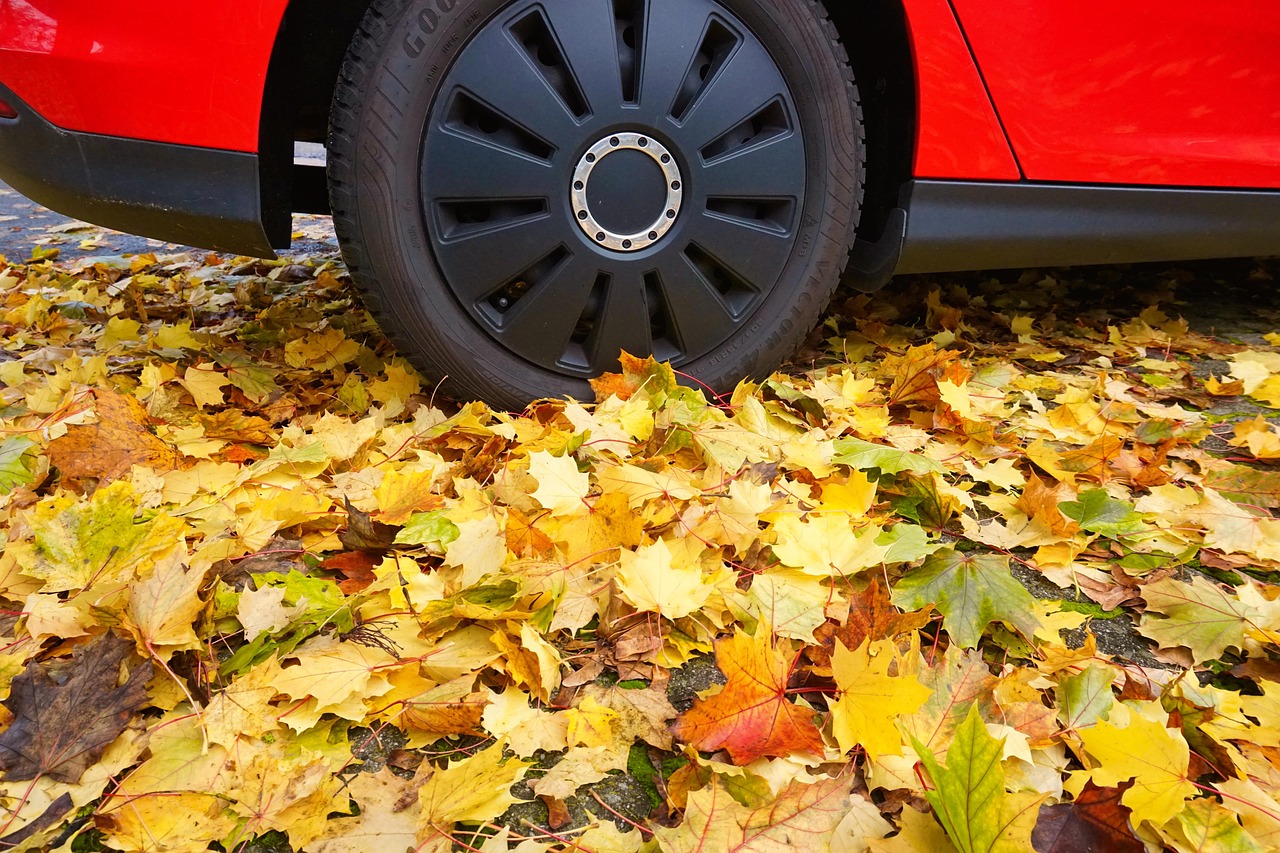Fall Photo With Auto Automobile Fall Autumn Leaves - Free photo on Pixabay
