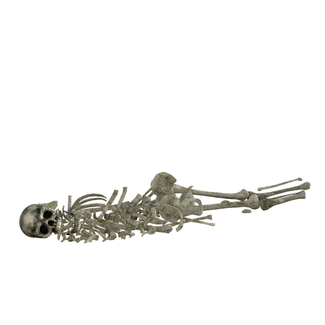 Free skeleton bones halloween illustration