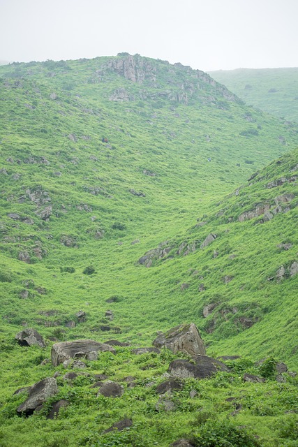 Free Loma Landscape photo and picture