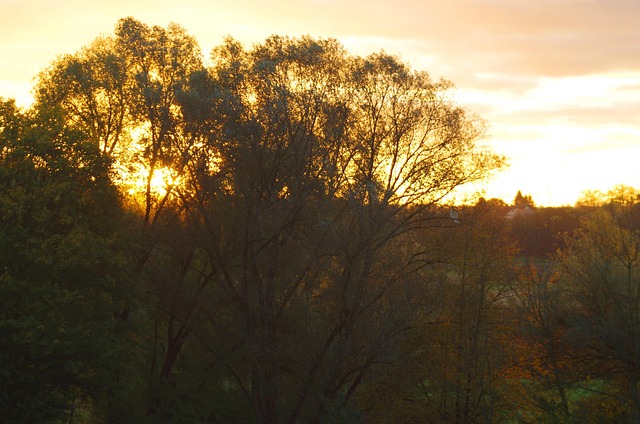 Amanecer Otoño Paisaje - Foto gratis en Pixabay - Pixabay