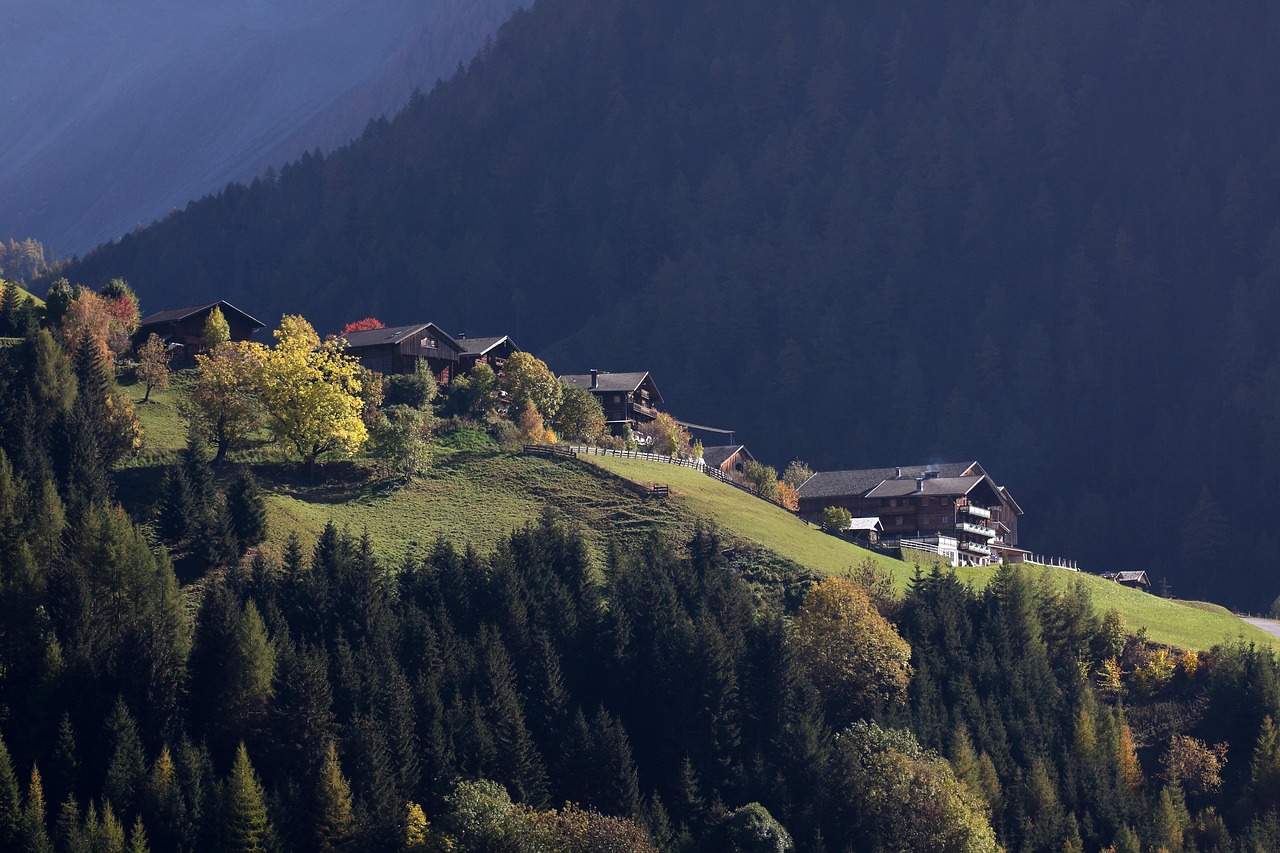 Kals - free online jigsaw puzzle photo