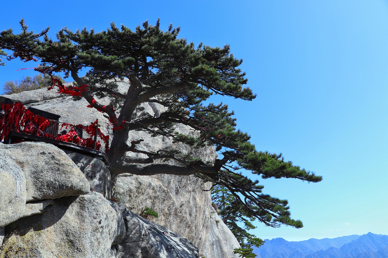 中国 陕西省 华山 - Pixabay上的免费照片