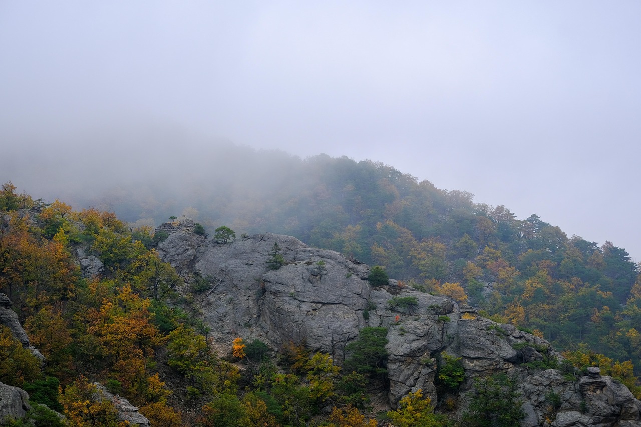 Landscape - free online jigsaw puzzle photo