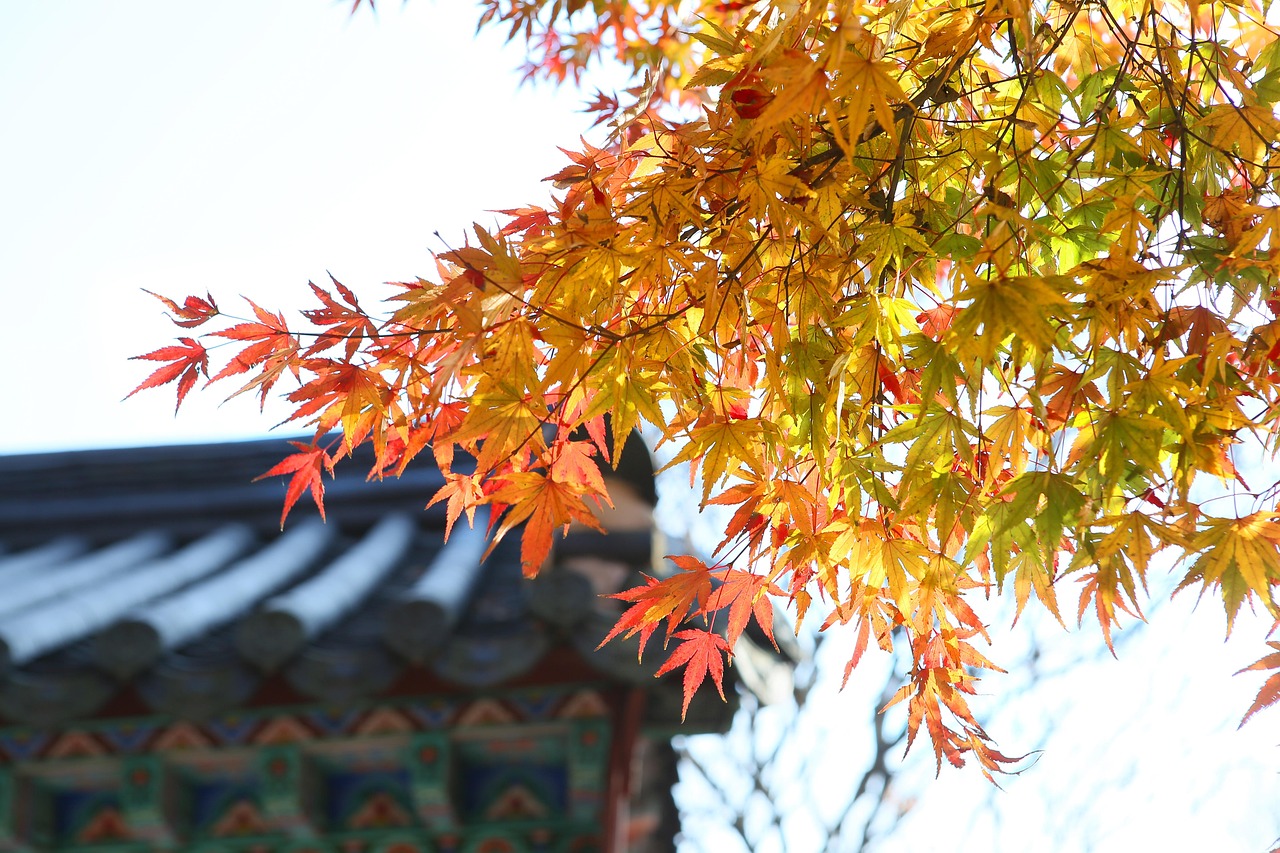 Autumn - free online jigsaw puzzle photo