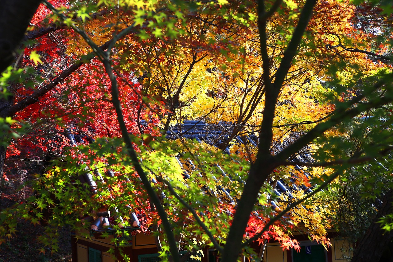 Autumn - free online jigsaw puzzle photo