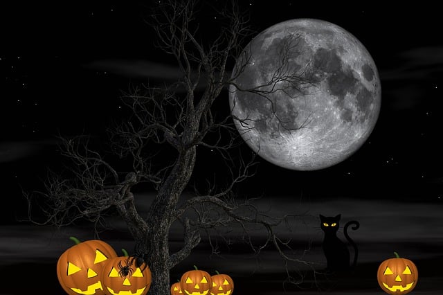 Free halloween 2019 celebration halloween night illustration