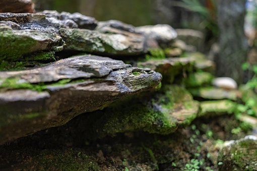 Free Rocks Wallpaper 4K photo and picture