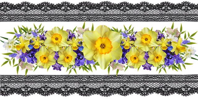 Free flowers daffodils violets border illustration
