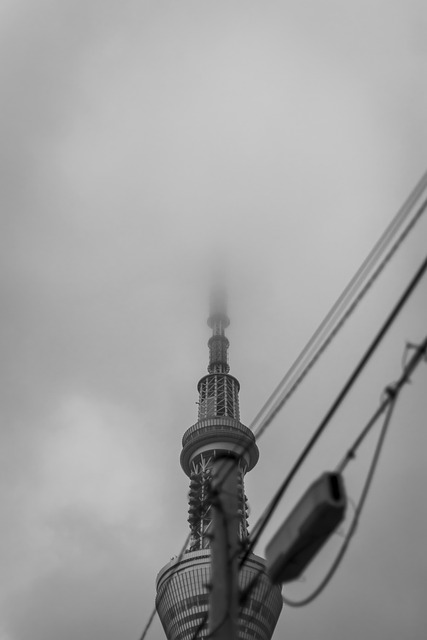 Free Tokyo Sky Tree Sky Tree photo and picture