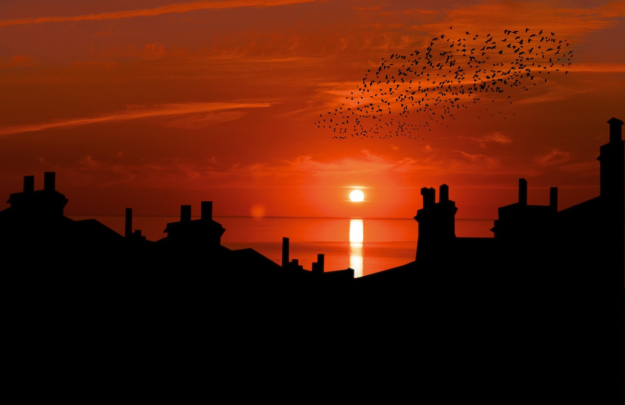Sunset - free online jigsaw puzzle photo