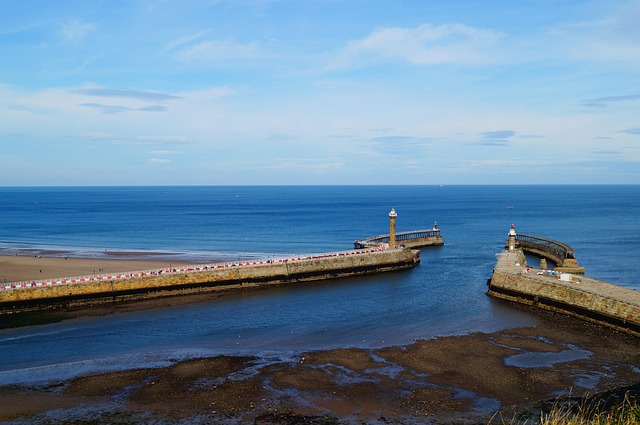 Free Coast Sea photo and picture