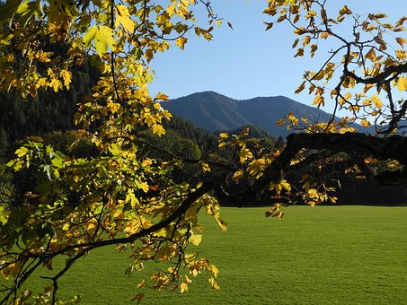 Herbst, Landschaft, Natur, Stimmung