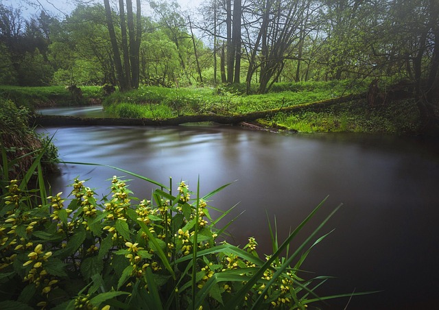 Free Nature Landscape photo and picture