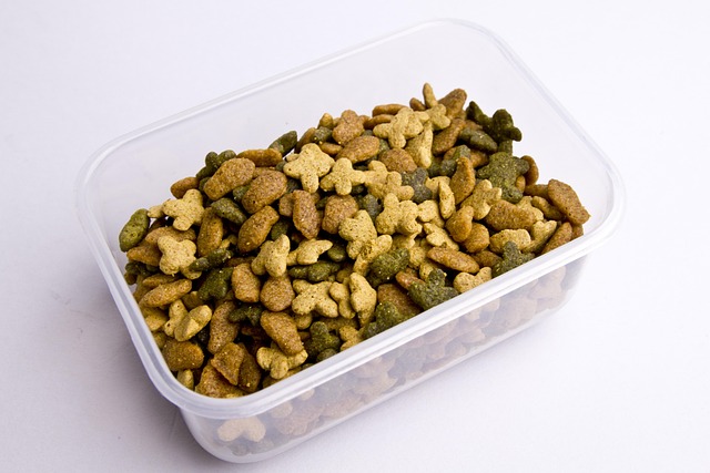 Free Feed Pet Feed photo and picture