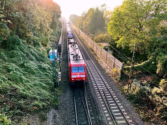 Free Freight Train Rail photo and picture