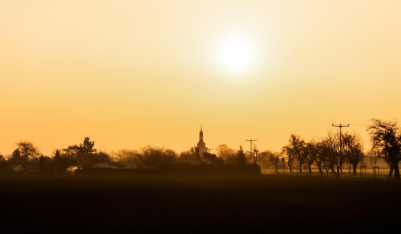 Morning - free online jigsaw puzzle photo