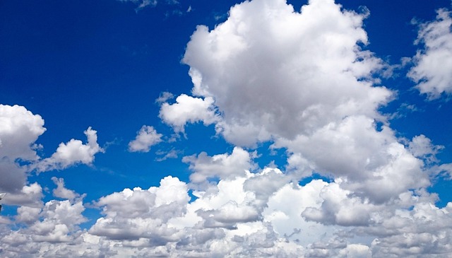 Free Darling Blue photo and picture