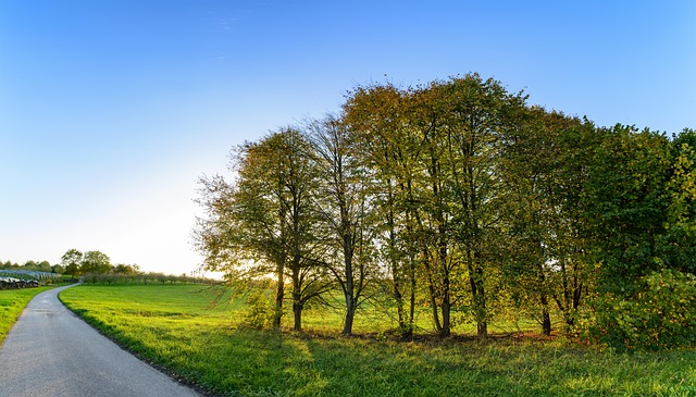 Outono, Panorama, Natureza