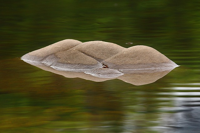 Free River Rocks photo and picture