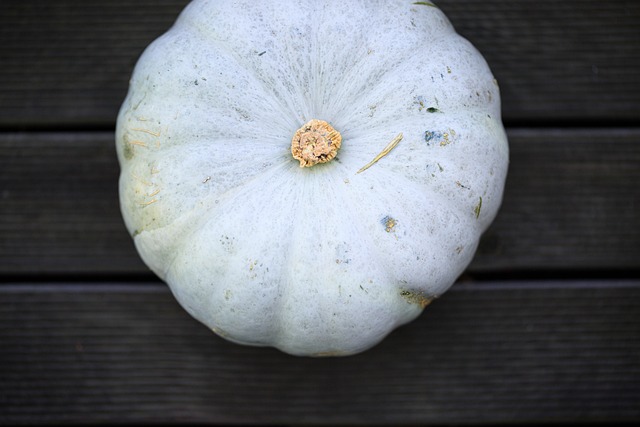 Free Pumpkin Blue photo and picture