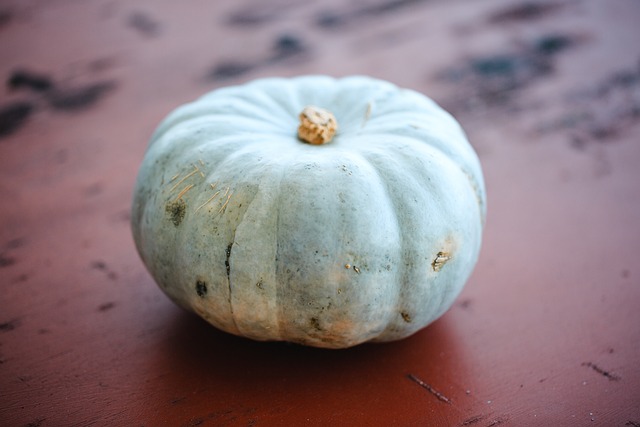Free Pumpkin Blue photo and picture