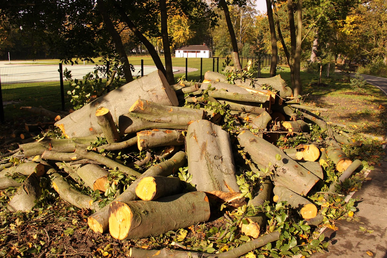Woodpile