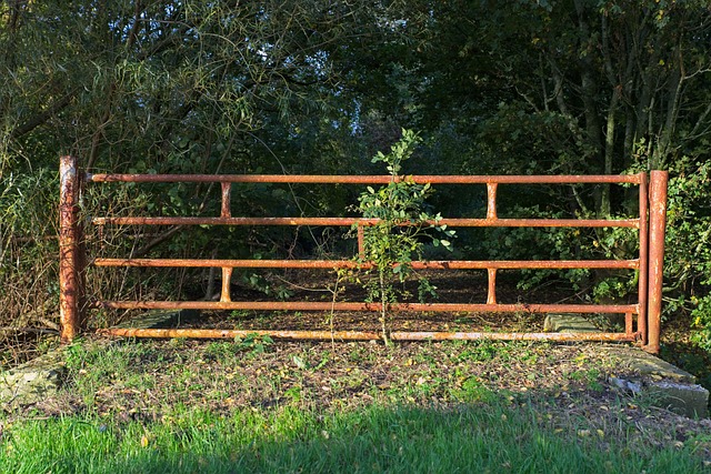 fence, fencing, old, rusty, port, metal, iron