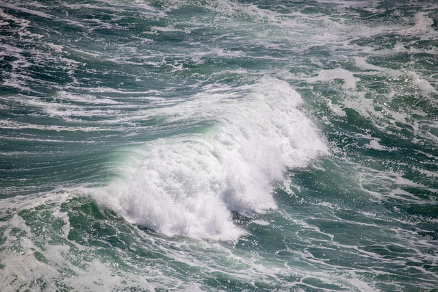 Free Wave Surf photo and picture