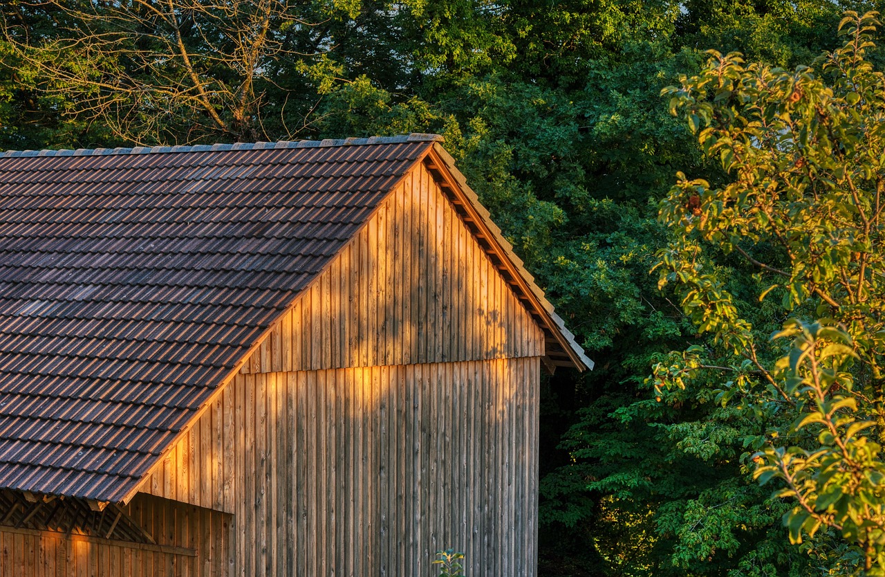 Evening Sun Barn Trees - Free photo on Pixabay - Pixabay