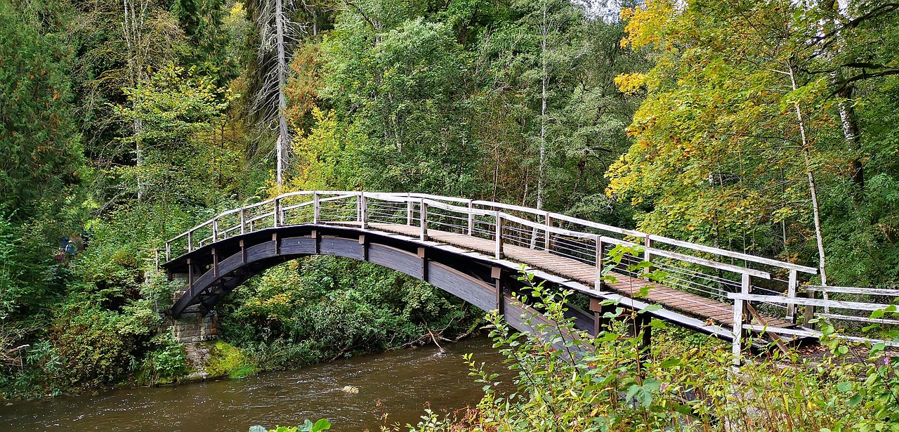 Gauchachschlucht: Die ruhige Schwester der Wutachschlucht 2 Holzbrücke über einen Bach in einer Schlucht im Schwarzwald