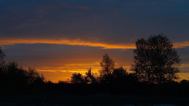 50,000+ Free Beautiful Morning View & Nature Images - Pixabay