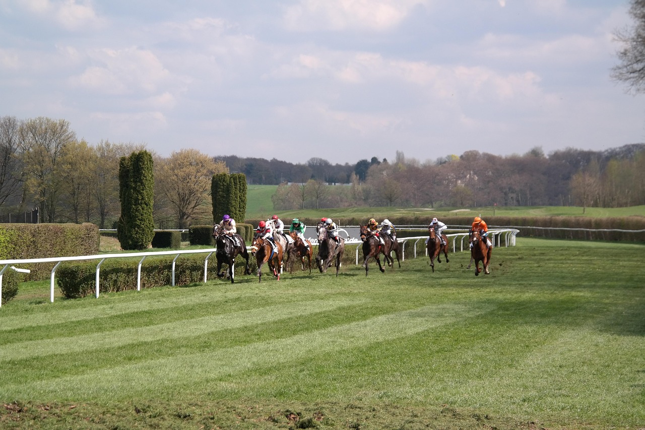 Horse Race - free online jigsaw puzzle photo