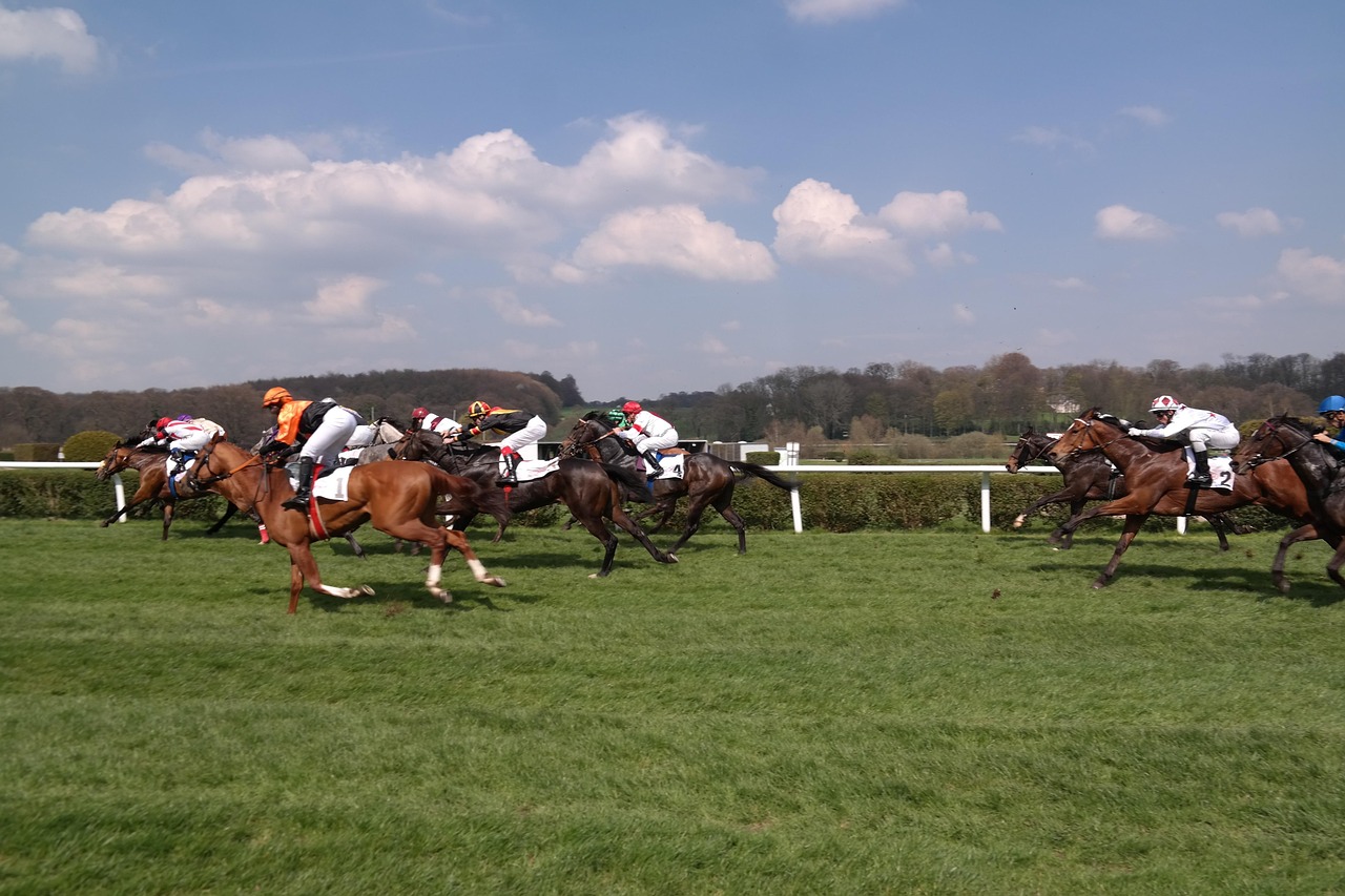 Horse Race - free online jigsaw puzzle photo