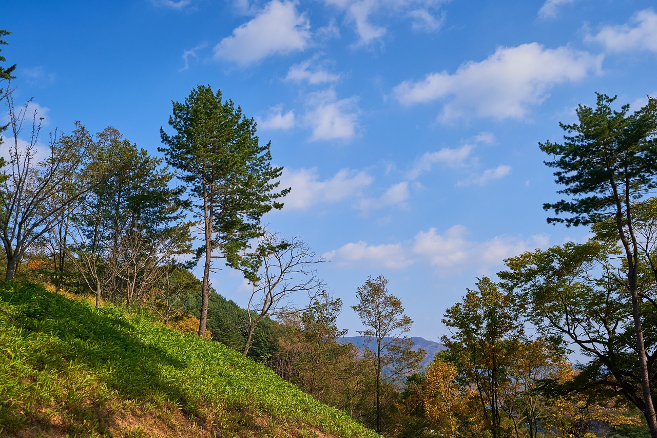 Cloud - free online jigsaw puzzle photo
