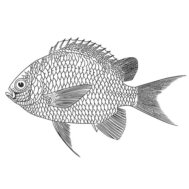 Download Fish Sea Underwater Royalty-Free Stock Illustration Image ...