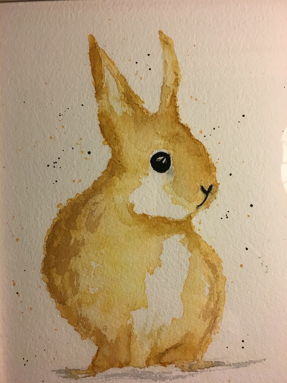 Explore 1 126 free bunny illustrations download now pixabay