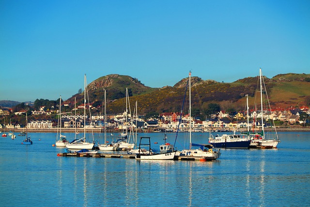 Free Water Sea photo and picture