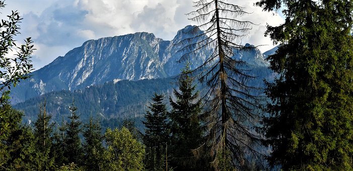 Free Giewont Tatry photo and picture