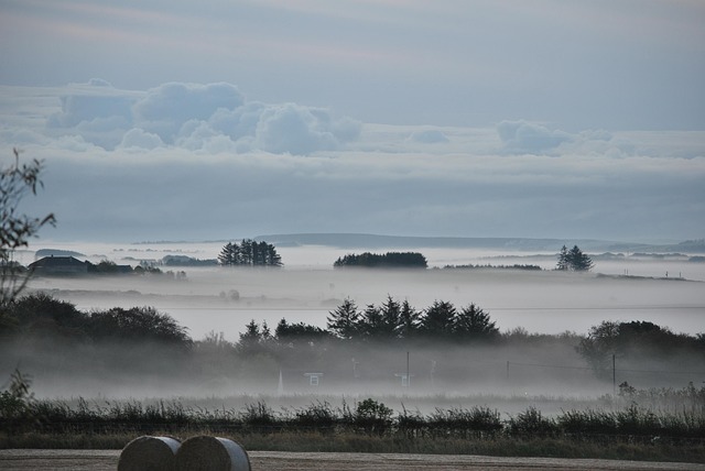 Landscape, misty, nature and fog — photo by Frisky53