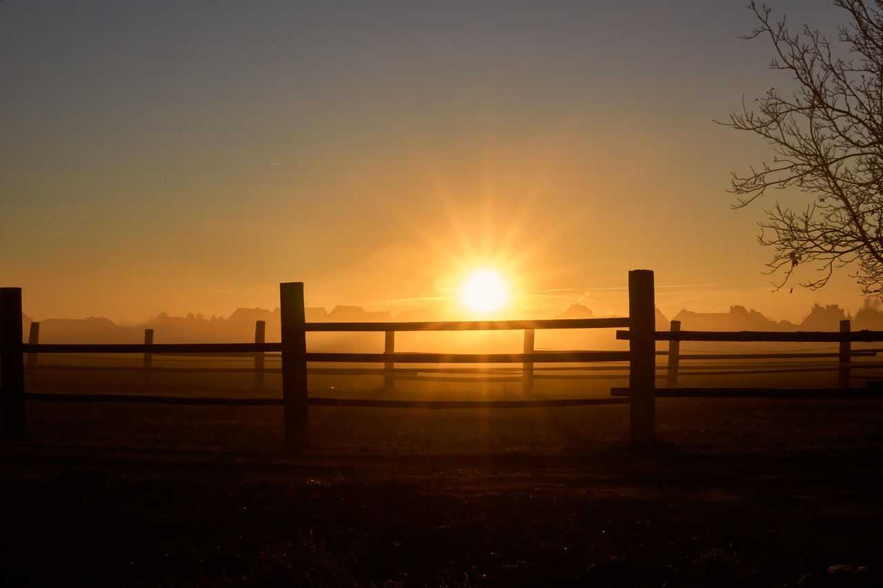 Sun Rising Over Fence Sunrise Fence Wood - Free photo on Pixabay - Pixabay