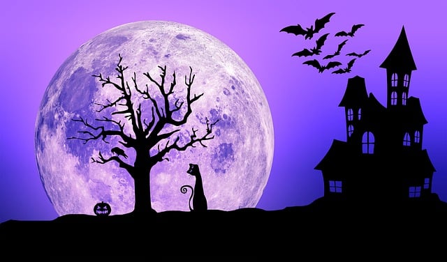 Free invitation halloween party illustration