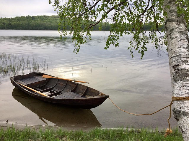 Kotviště, Loď, Voda, Zbytek, Příroda