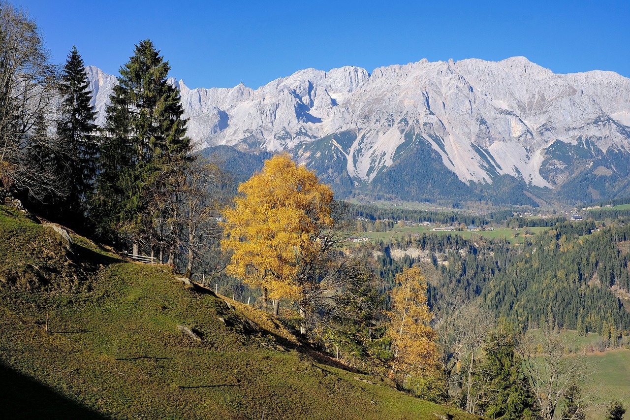 Nature - free online jigsaw puzzle photo