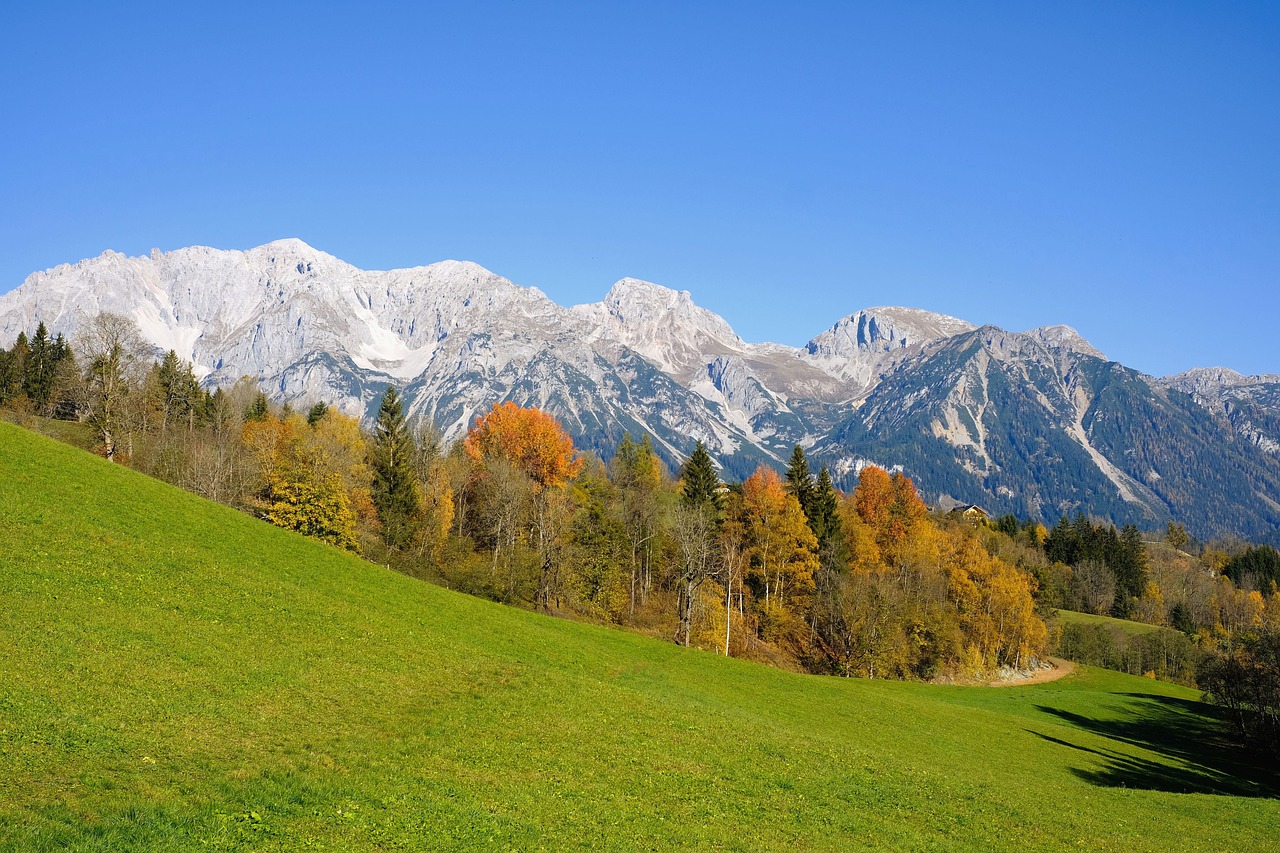 Nature - free online jigsaw puzzle photo